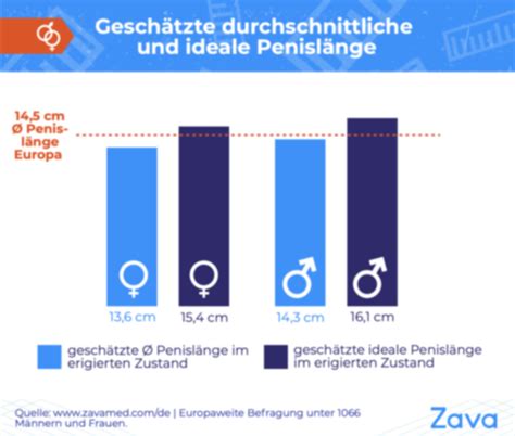 lange schwenze|Penislänge und guter Sex: Kommt es wirklich auf die Penisgröße .